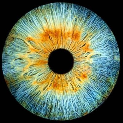π‘ππ‘π’πππ£.π΄ππΏπ π±π¬π
Eπ§π π¦π Profile