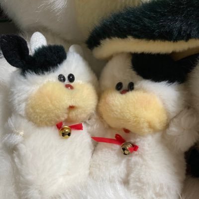 ミーミーさんのプロフィール画像
