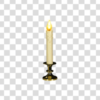 Candle (@candle_vela) 's Twitter Profile Photo