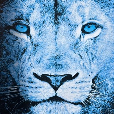 pelimuc's profile picture. @pelimuc.bsky.social — https://t.co/DIZPB5xWxp