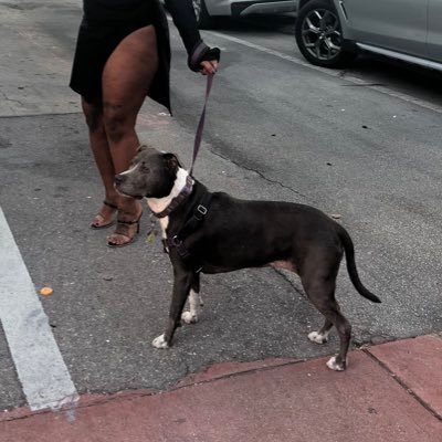 BleuKarter's profile picture. 