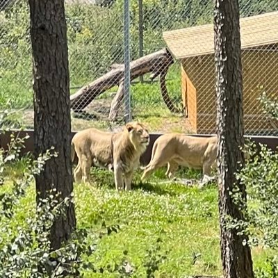 swekita's profile picture. 