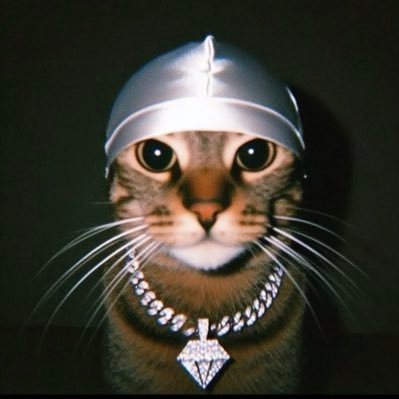 LanguageNlp's profile picture. 