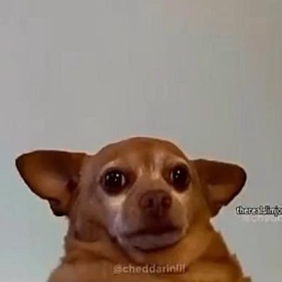 _olasubomi07's profile picture. Na me fair pass..
GGMU!!❤️..... Follow