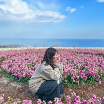 mihou_prog0's profile picture. サーバサイドエンジニア | PHP / Laravel / SQL / JavaScript