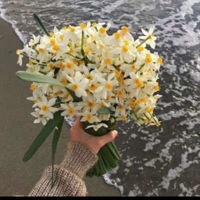 kumrallbarbie's profile picture. bilmem ne university