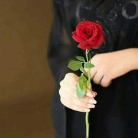 م/ بدر (@mbdr785632) 's Twitter Profile