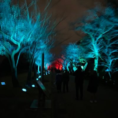 ABuribu_re's profile picture. 読書/映画/ラジオ/日記