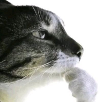 onibusgrande's profile picture. 