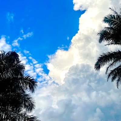 Rey__Crypt's profile picture. All for web3