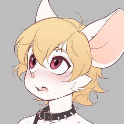 soft Profile