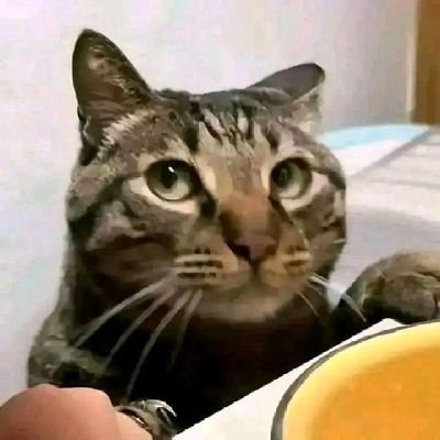 rcleothemc's profile picture. lu liat di dada gua ada apa? ADA MIEAYAMP COY, #lovemieayamptilldie ! yang cepu sudah pasti di bub ya wok