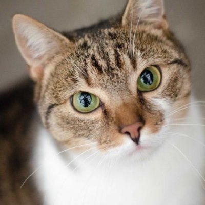 WiernaNawrocona's profile picture. 