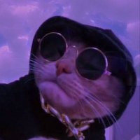 PainCS2 (@paincs2_) 's Twitter Profile