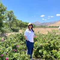 Ava (@ava1947478) 's Twitter Profile