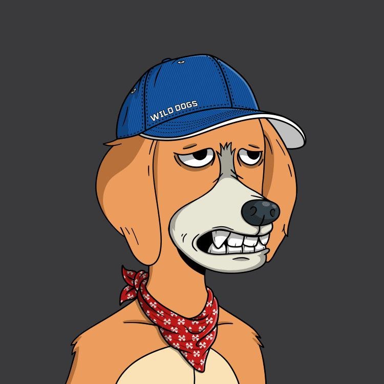 0_benderrr's profile picture. Beach Bum 🎖️ Living that unfiltered, unapologetic life ☘️ Making waves for positive change 🌎 DIY enthusiast 🛠️