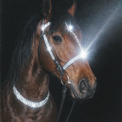 MostyVi's profile picture. “𝒴𝑜𝓊 𝒹𝑜𝓃’𝓉 𝓀𝓃𝑜𝓌 𝓂𝑒”.