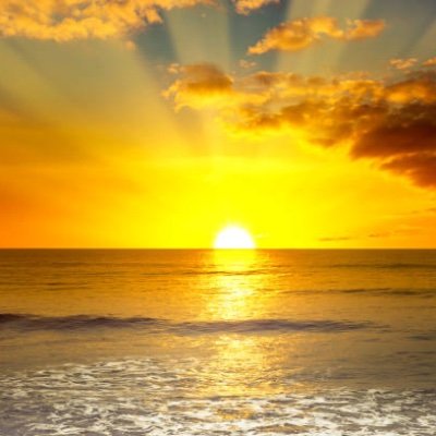 _yadavraj's profile picture. 🕉️ अहिंसा परमो धर्मः , धर्म हिंसा तथैव च: | 🇮🇳 🕉️