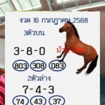 g13607536's profile picture. 