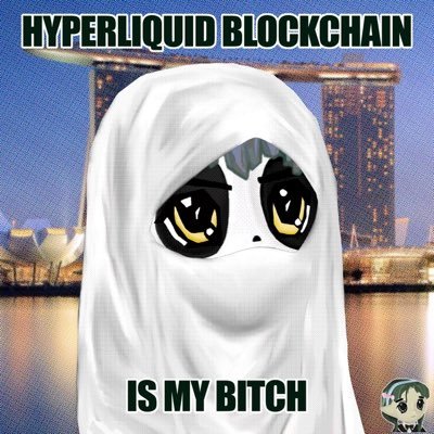 NFT flippoorr | $HYPE maxi | sharing my journey