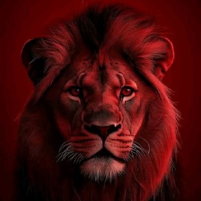 Asahd_001's profile picture. Trader || Raider || Shiller || Graphics designer || Tg bot creator