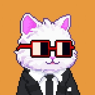 kolae.btc Profile