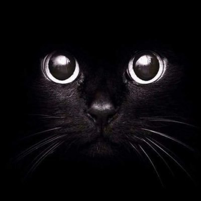 cibernito2016's profile picture. 🇲🇽