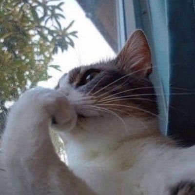 Emma_nuel318's profile picture. 