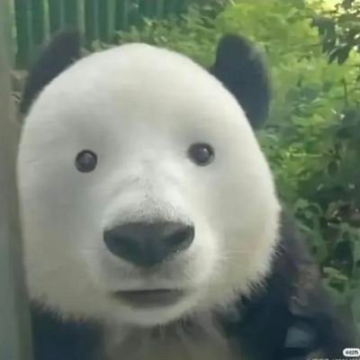 san (సాన్)さんのプロフィール画像