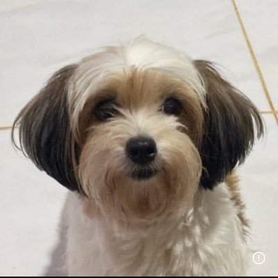 Impprl's profile picture. choro de puta deus nao escuta | 23y