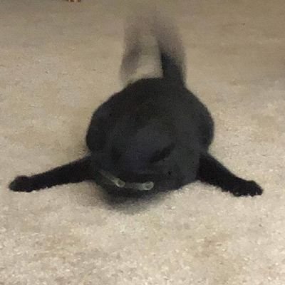 Scr1ptKiddie Profile