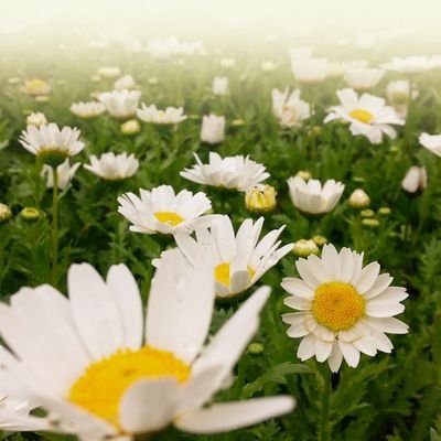 SiRGbkt78U50508's profile picture. はじめまして😊
3年前より、✨人生を変えたい❢幸せになりたい❢と思い決意し、自分を愛せる様になり、ダイエットにも成功しました。
今では、毎日が楽しく、日々進化していってます😊
一緒に幸せを掴みにいきませんか？