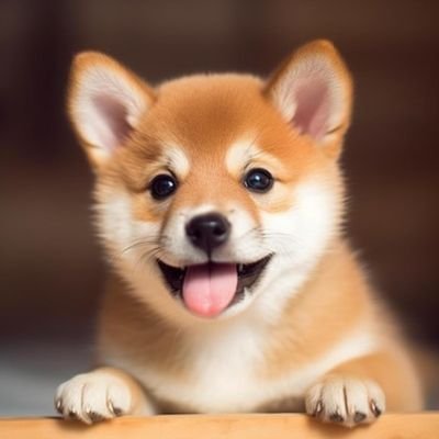 gwang_i80185xh's profile picture. 