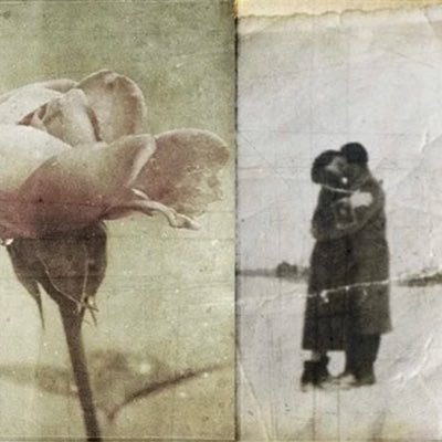 mademoiz_elle's profile picture. 𝘐 𝘣𝘦𝘤𝘢𝘮𝘦 𝘪𝘯𝘴𝘢𝘯𝘦, 𝘸𝘪𝘵𝘩 𝘭𝘰𝘯𝘨 𝘪𝘯𝘵𝘦𝘳𝘷𝘢𝘭𝘴 𝘰𝘧 𝘩𝘰𝘳𝘳𝘪𝘣𝘭𝘦 𝘴𝘢𝘯𝘪𝘵𝘺. – 𝘌𝘥𝘨𝘢𝘳 𝘈𝘭𝘭𝘢𝘯 𝘗𝘰𝘦