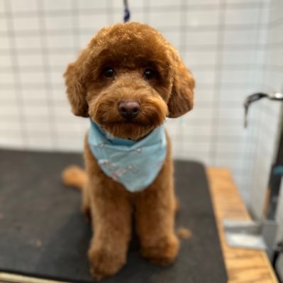 Wiszn42981Karol's profile picture. 