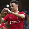 NFTBear5's profile picture. JOTA 20 💔 #YNWA
