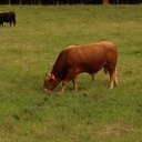 Michael courts - @CourtsMichael - Twitter