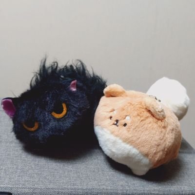 1151plastic's profile picture. 成人済み。🏅アニメを見終わってから原作全巻購入、気が付いた時にはもう🦅☀️沼。よだつか好きすぎ沁み入る…ｼﾞｭﾜｧ…全体的に甘めなネタを呟いたりしてます。たぴも有り。