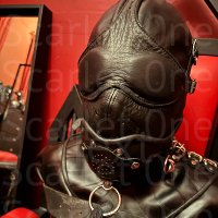 Scarlet_0ne (@scarlet_0ne) 's Twitter Profile