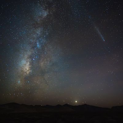 kathmdch's profile picture. Radical centrist, stubborn optimist, democracy lover, mother and wife to James Murdoch (Tesla Board Member) 🚀