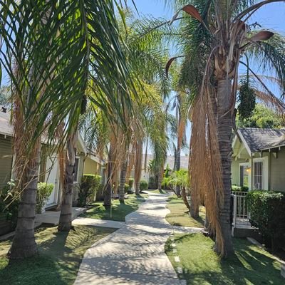 trabajo por mi cuenta en paisajismo y mantenimiento de jardín en la área de Los Ángeles