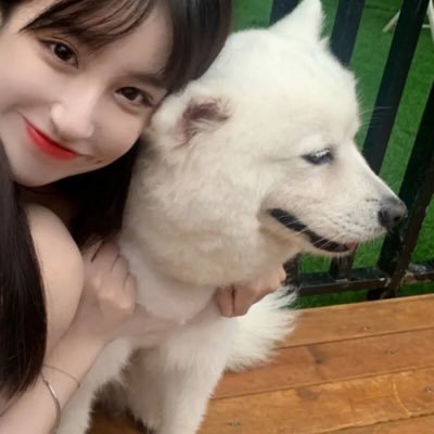 PDBd372wGN6PmC's profile picture. 