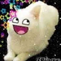 gracie ππ (@graiiee) 's Twitter Profile