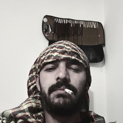 fidelronii3521's profile picture. 