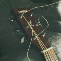 シオ (@yuumi_orin) Twitter profile photo