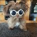 Yoshi the Ewok (@pearlclutcher61) Twitter profile photo Yoshi the Ewok (@pearlclutcher61) Twitter profile photo