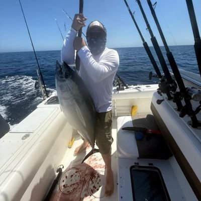 10APCmx's profile picture. 