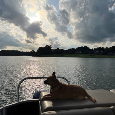 T_Lodolo's profile picture. 