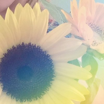 やえさんのプロフィール画像