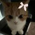 ೃ⁀➷ (@crushingcande) Twitter profile photo ೃ⁀➷ (@crushingcande) Twitter profile photo